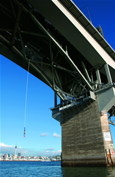 bungy_port.jpg