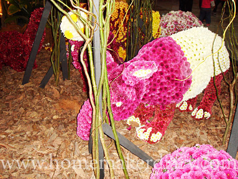 floria09