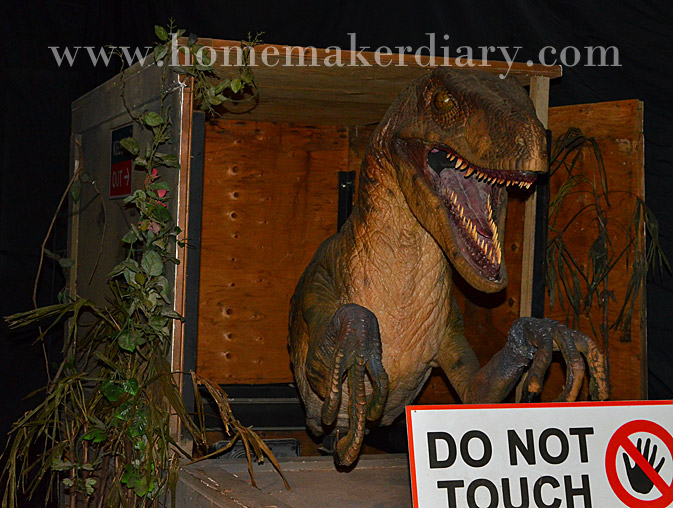 carnivore-dinosaur-4-pusat-sains-negara