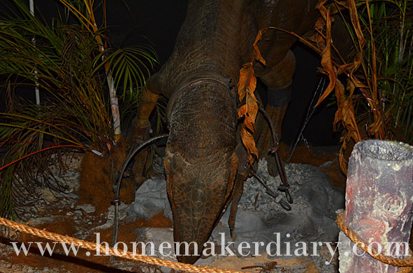 carnivore-dinosaur-5-pusat-sains-negara