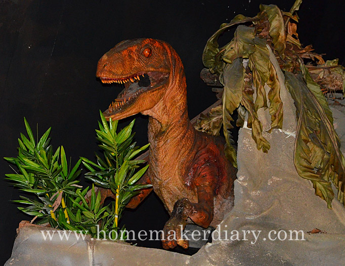 carnivore-dinosaur-exhibition
