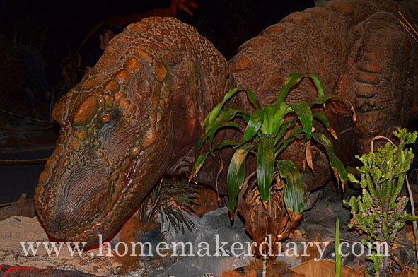 carnivore-dinosaur-pusat-sains-negara