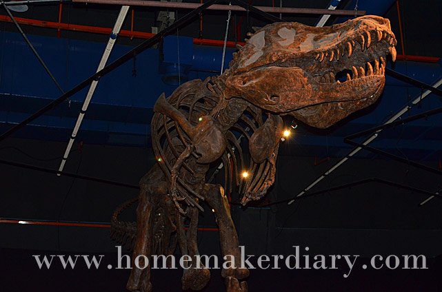 herbivore-dinosaur-1-pusat-sains-negara