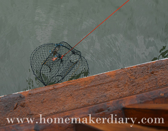how-to-catch-crab-using-net